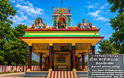 Dr.S.AYYADURAI PANDIAN